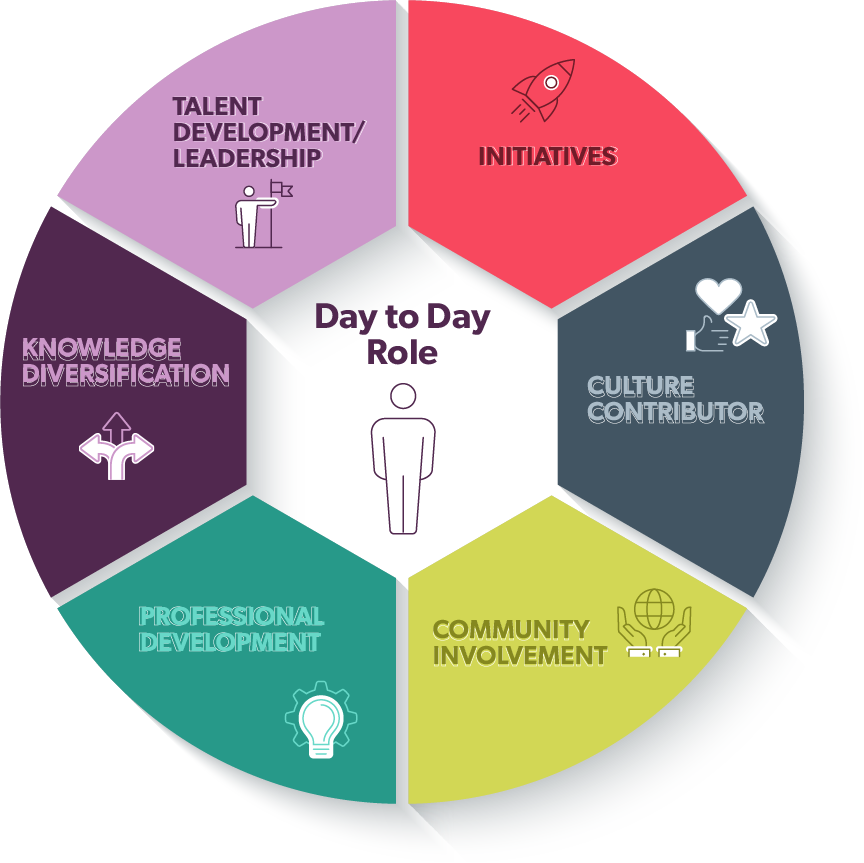 A circle around a person broken into 6 parts: talent development/leadership, initiatives, culture contributor, community involvement, professional development, knowledge diversificiation.