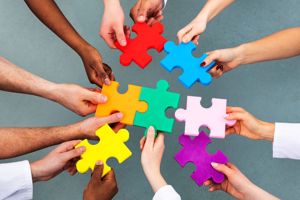 What Makes a Captive Board Successful?